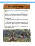 Miniatura página 132 de Ciencias Sociales 8° · Secundaria Activa