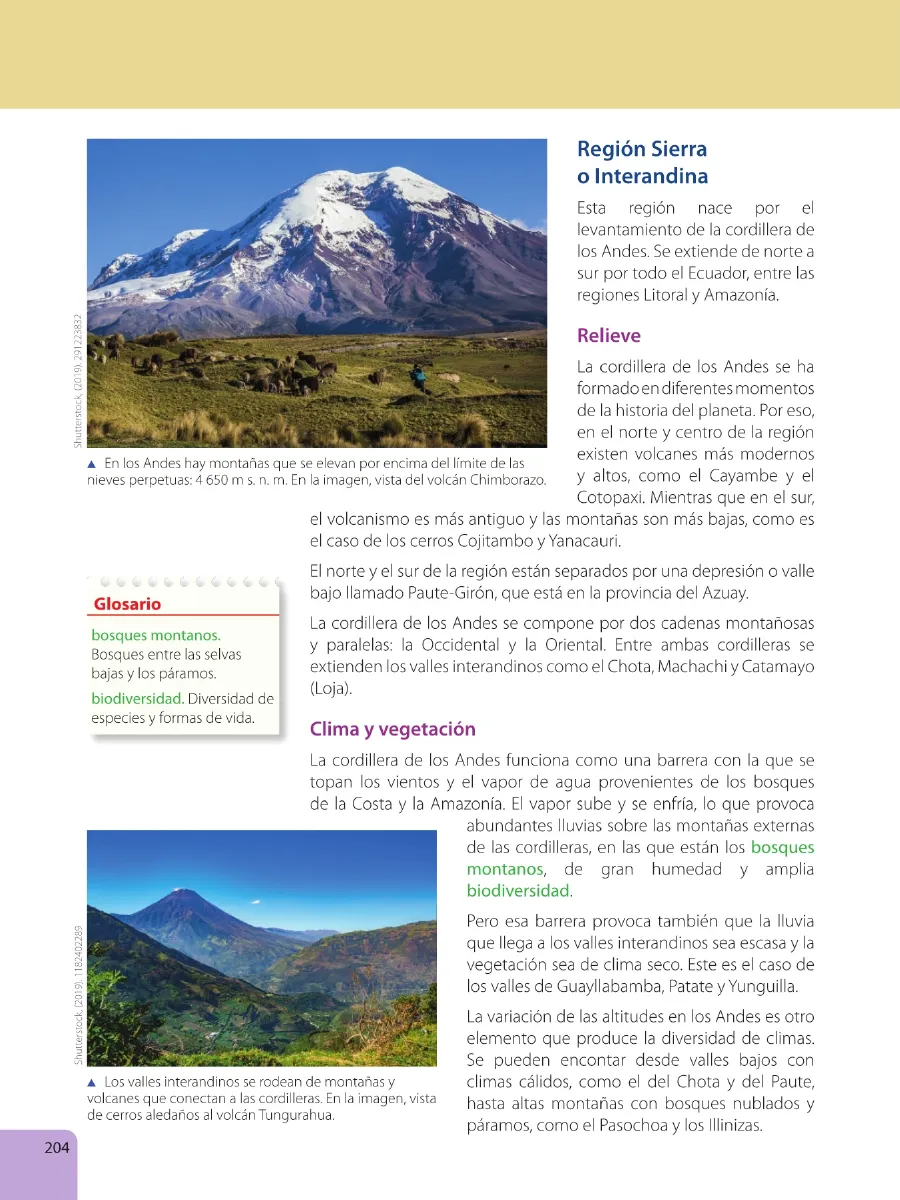 Página 206 de Estudios Sociales · 6 EGB · 2025