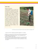 Miniatura página 115 de Lenguaje 6° · Secundaria Activa