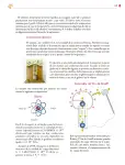 Pág 150