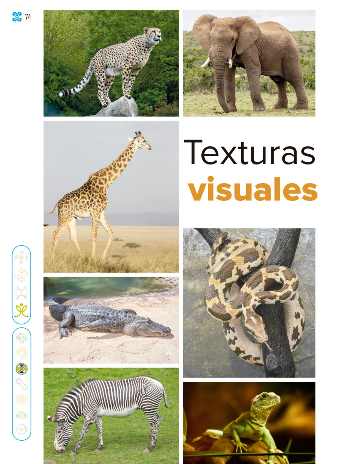 Miniatura página 75 de Múltiples lenguajes.   Libro de Educación Primaria Grado 1°  Ciclo Escolar 2025 - 2026