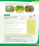 Miniatura página 218 de Ciencias Naturales – Tercero Básico | Texto del Estudiante MINEDUC – Descargar PDF · 2024