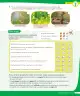 Miniatura página 218 de Ciencias Naturales – Tercero Básico | Texto del Estudiante MINEDUC – Descargar PDF · 2024