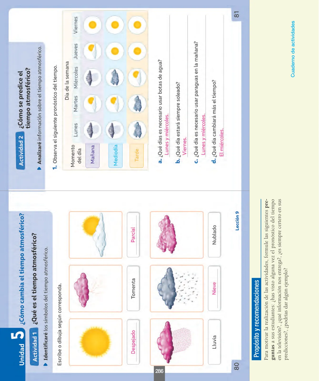 Miniatura página 95 de Ciencias Naturales – Segundo Básico | Texto del Estudiante MINEDUC – Descargar PDF · 2024