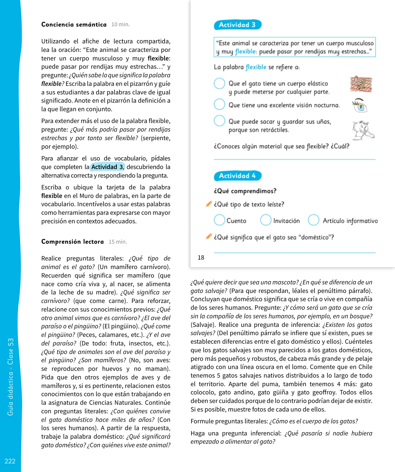 Miniatura página 223 de Lenguaje y Comunicación – Segundo Básico – Texto del Estudiante MINEDUC – Descargar PDF · 2024