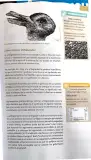 Miniatura página 36 de Lengua y Literatura 1 BGU · 2025