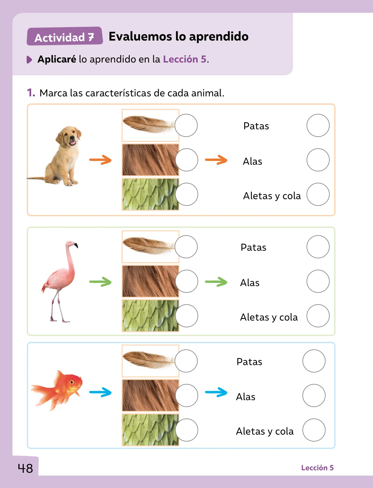 Página 49 de Ciencias Naturales – Primero Básico | Texto del Estudiante (MINEDUC) – Descargar PDF · 2024