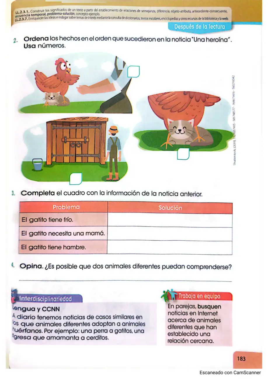 Página 177