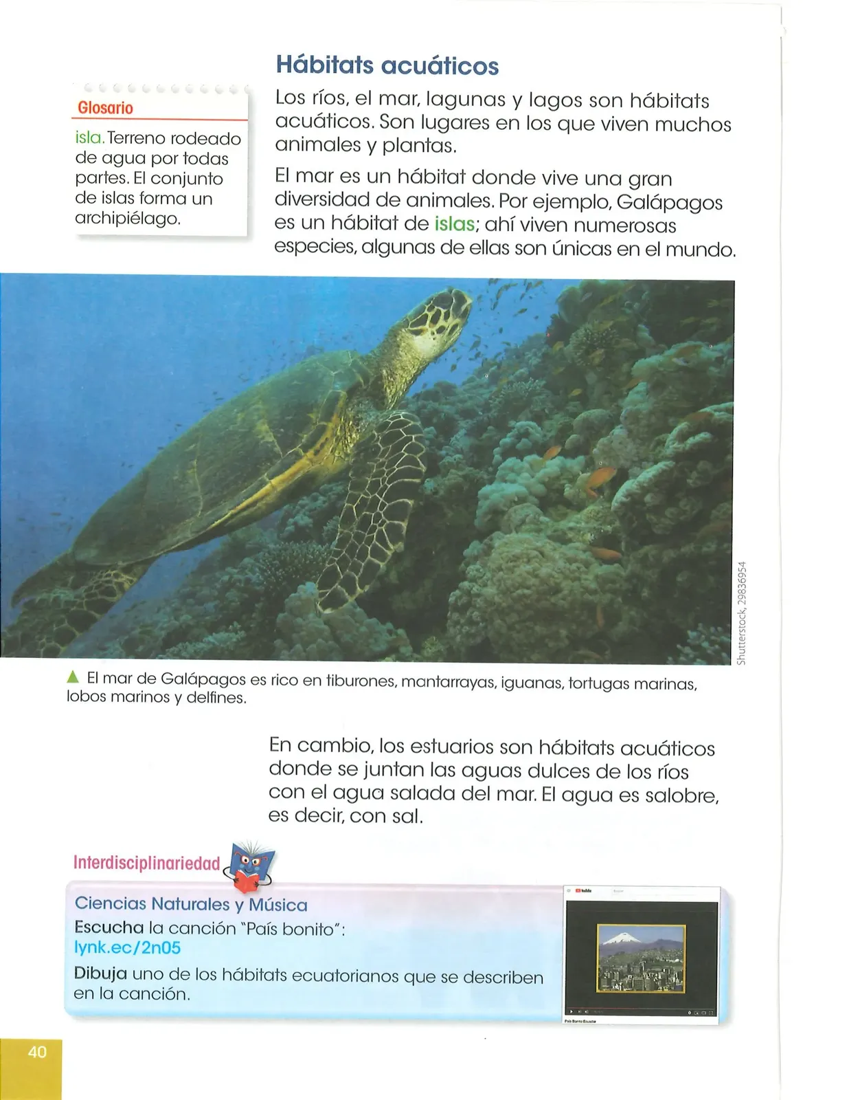 Pág 41