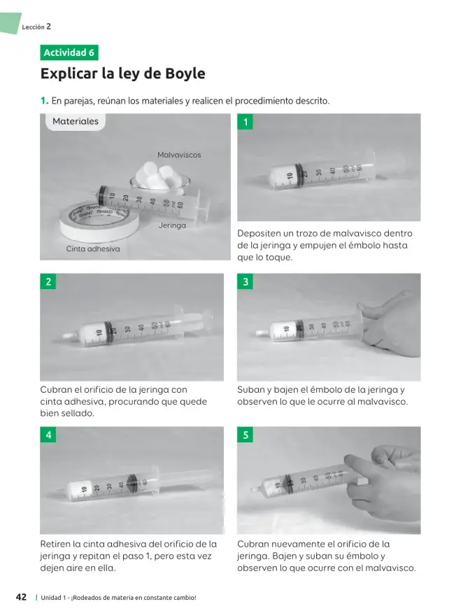 Página 43 de Ciencias Naturales – Séptimo Básico | Texto del Estudiante MINEDUC – Descargar PDF · 2024