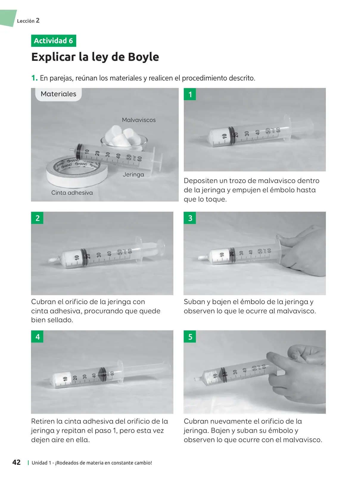 Miniatura página 43 de Ciencias Naturales – Séptimo Básico | Texto del Estudiante MINEDUC – Descargar PDF · 2024