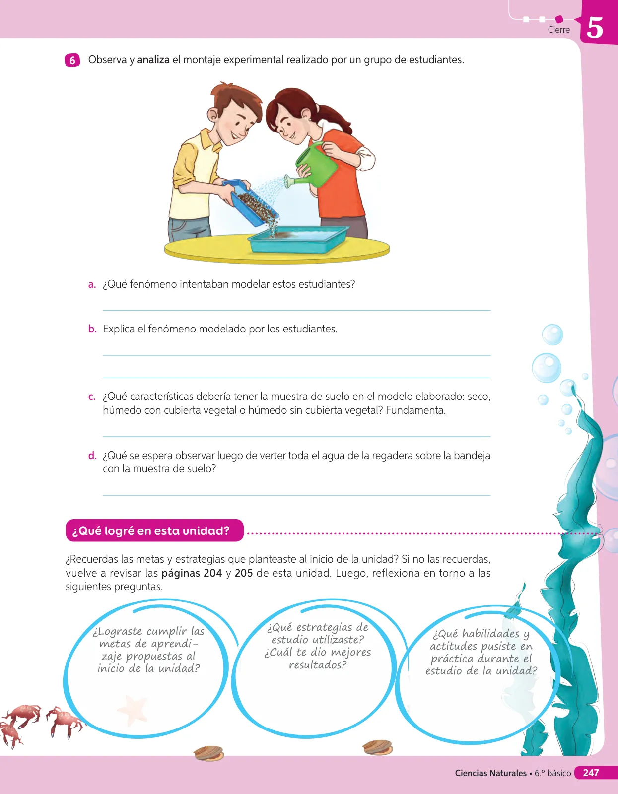 Miniatura página 198 de Libro de Ciencias Naturales – Quinto Básico | Texto del Estudiante MINEDUC – Descargar PDF · 2024