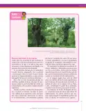Miniatura página 117 de Ciencias Naturales 6° · Secundaria Activa