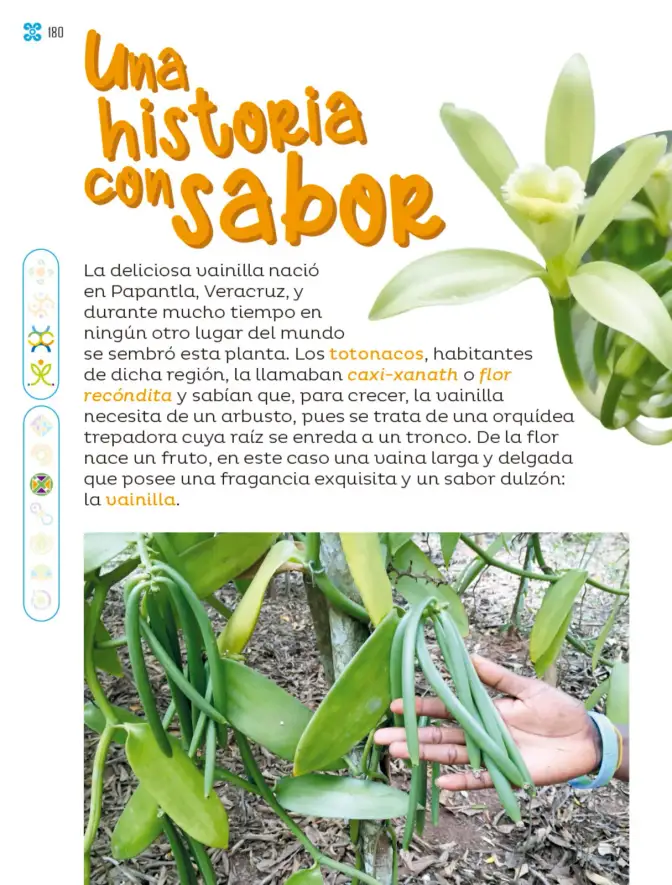 Página 181 de Múltiples lenguajes. Libro de Educación Primaria Grado 1° Ciclo Escolar 2025 - 2026