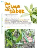 Miniatura página 181 de Múltiples lenguajes.   Libro de Educación Primaria Grado 1°  Ciclo Escolar 2025 - 2026