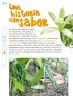 Miniatura página 181 de Múltiples lenguajes.   Libro de Educación Primaria Grado 1°  Ciclo Escolar 2025 - 2026