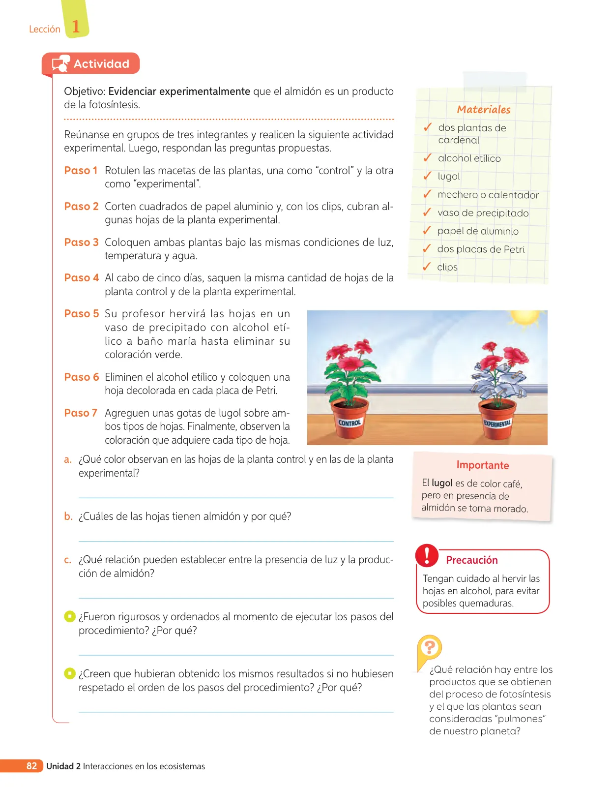 Página 201 de Libro de Ciencias Naturales – Quinto Básico | Texto del Estudiante MINEDUC – Descargar PDF · 2024