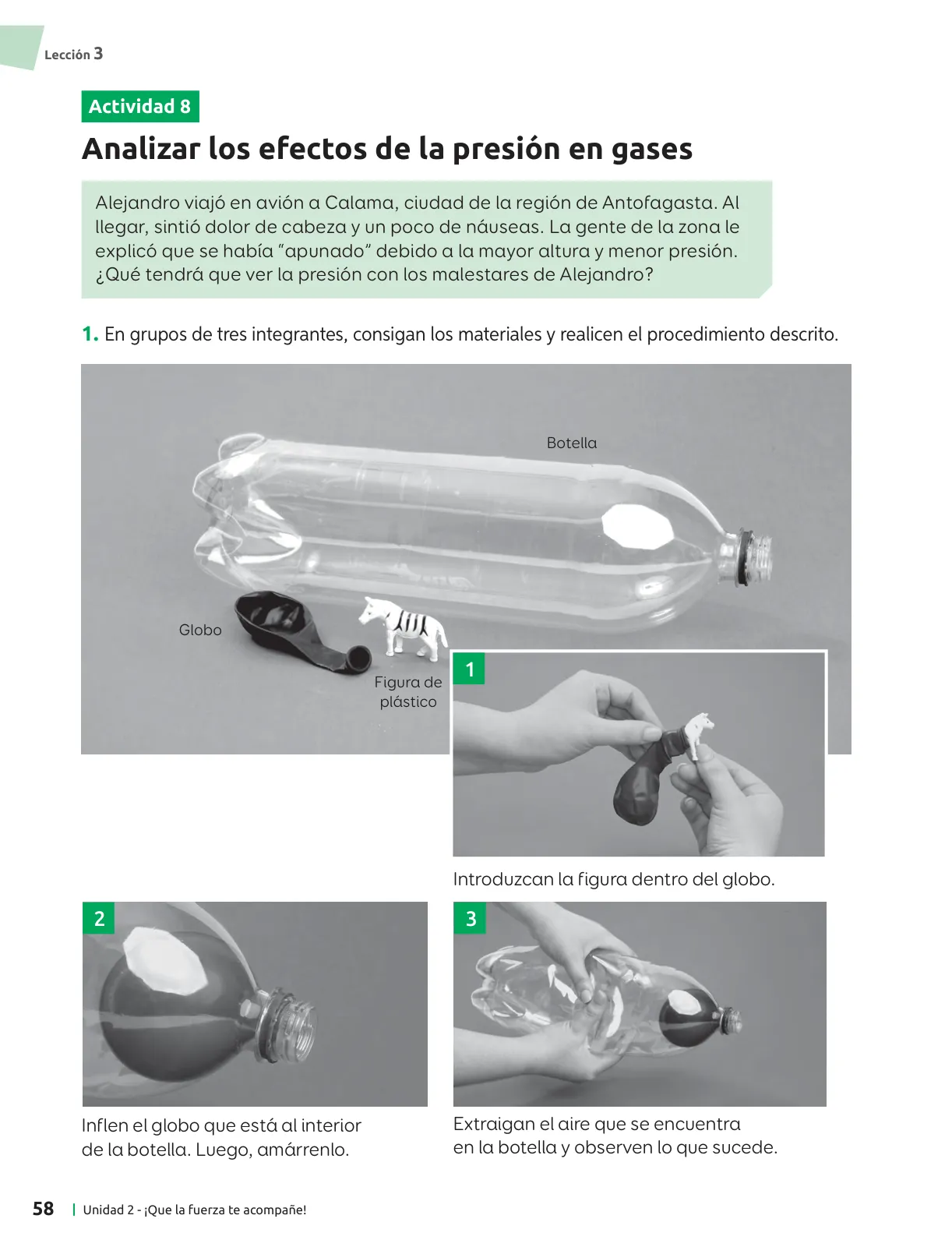Página 59 de Ciencias Naturales – Séptimo Básico | Texto del Estudiante MINEDUC – Descargar PDF · 2024