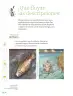 Miniatura página 13 de Proyectos de Aula.   Libro de Educación Primaria Grado 5°  Ciclo Escolar 2025 - 2026
