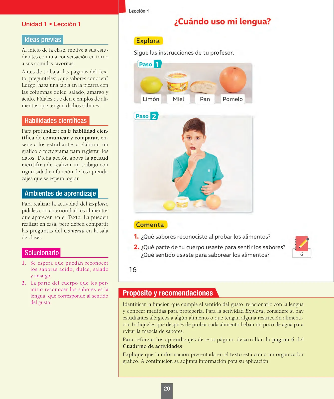 Miniatura página 21 de Ciencias Naturales – Primero Básico | Texto del Estudiante (MINEDUC) – Descargar PDF · 2024