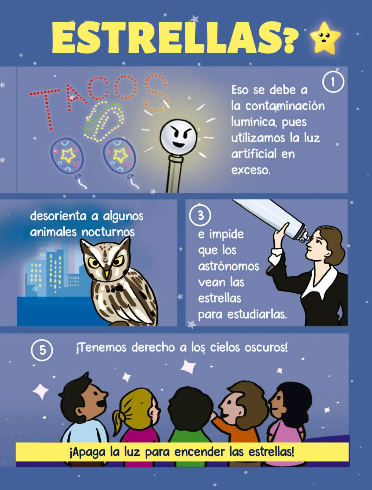 Miniatura página 224 de Múltiples lenguajes.   Libro de Educación Primaria Grado 1°  Ciclo Escolar 2025 - 2026