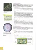 Miniatura página 37 de Ciencias Naturales 10° · 2025