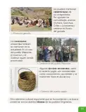 Miniatura página 75 de Historia, Geografía y Ciencias Sociales – Segundo Básico – Texto del Estudiante MINEDUC – Descargar PDF · 2024