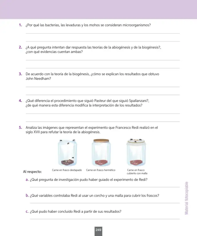 Página 74 de Ciencias Naturales – Séptimo Básico | Texto del Estudiante MINEDUC – Descargar PDF · 2024