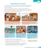 Miniatura página 96 de Ciencias Naturales – Cuarto Básico | Texto del Estudiante MINEDUC – Descargar PDF · 2024