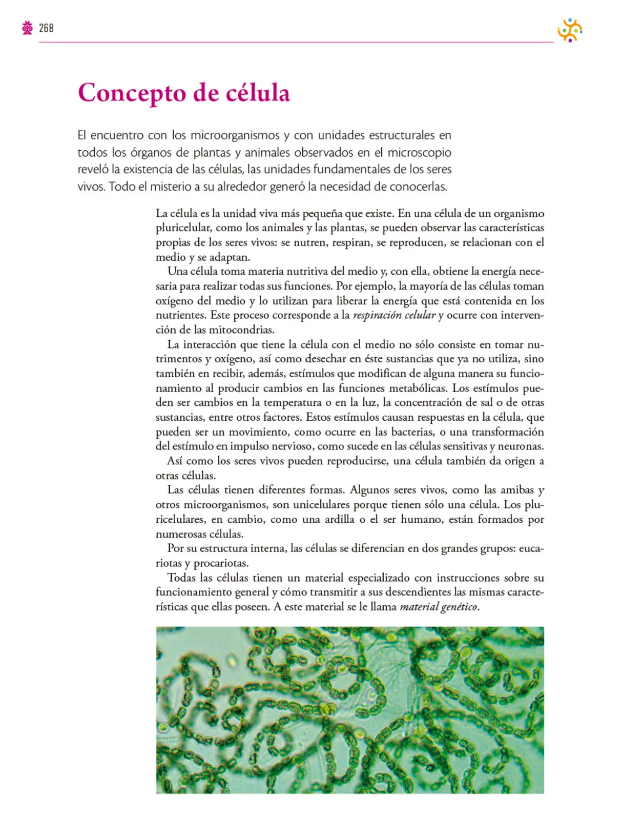 Miniatura página 269 de Colección Ximhai. Saberes y pensamiento científico.   Libro de Educación Secundaria Grado 1°  Ciclo Escolar 2025 - 2026