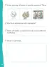 Miniatura página 47 de Lenguaje y Comunicación – Primero Básico | Texto del Estudiante MINEDUC – Descargar PDF · 2024