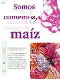 Miniatura página 77 de Múltiples lenguajes.   Libro de Educación Primaria Grado 2°  Ciclo Escolar 2025 - 2026