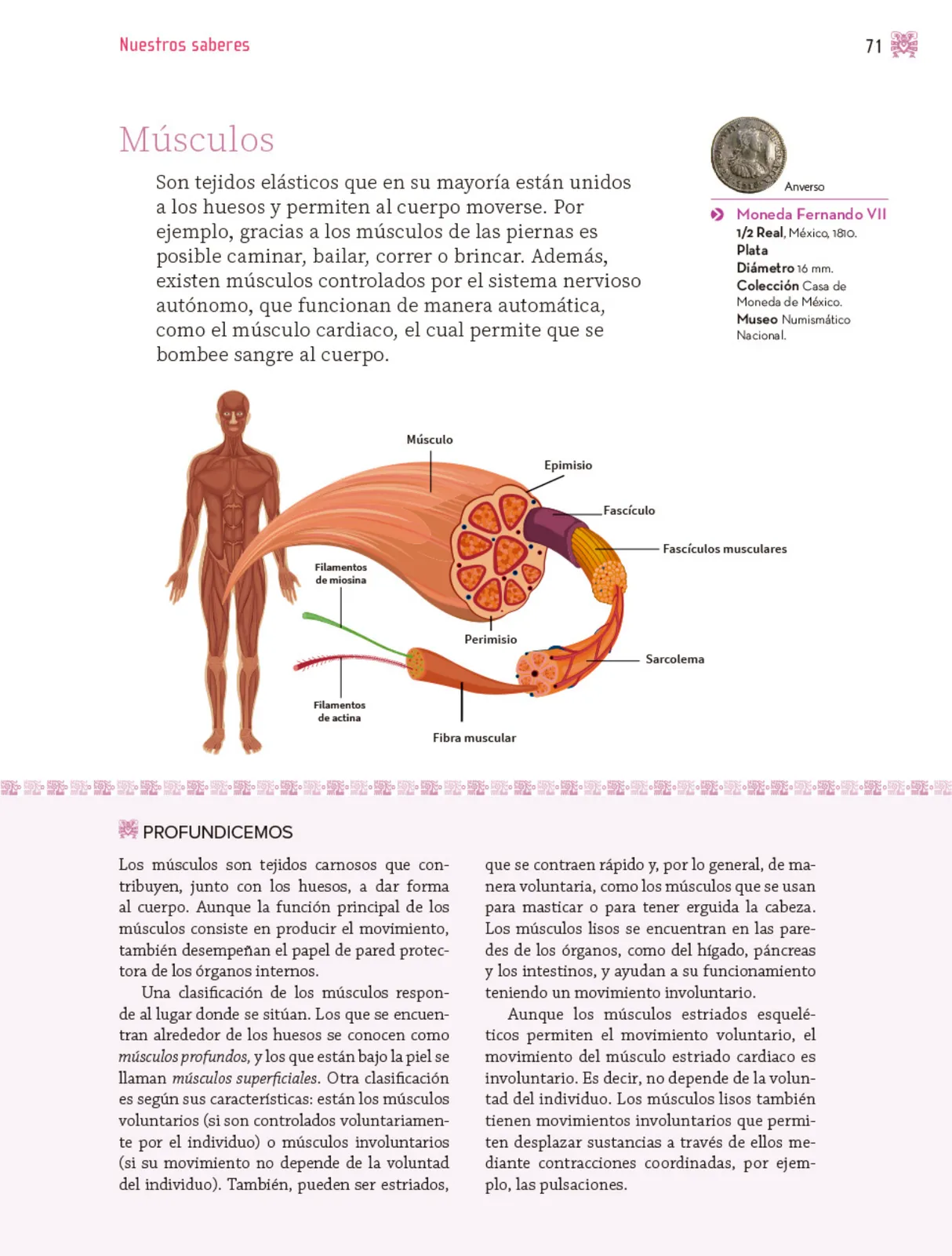 Miniatura página 72 de Nuestros saberes: Libro para alumnos, maestros y familia.   Libro de Educación Primaria Grado 3°  Ciclo Escolar 2025 - 2026