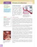 Miniatura página 167 de Estudios Sociales 7° · 2025