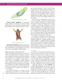 Miniatura página 178 de Ciencias Naturales 8° · Secundaria Activa