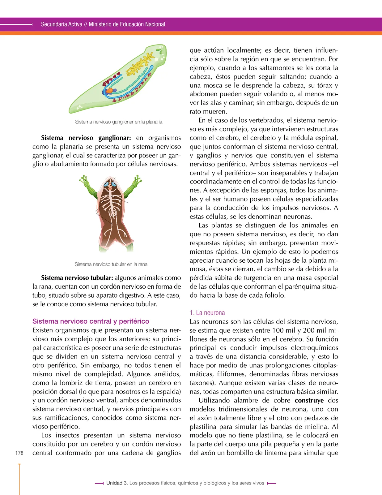 Miniatura página 178 de Ciencias Naturales 8° · Secundaria Activa