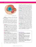Miniatura página 30 de Ciencias Naturales 6° · Secundaria Activa
