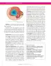 Miniatura página 30 de Ciencias Naturales 6° · Secundaria Activa