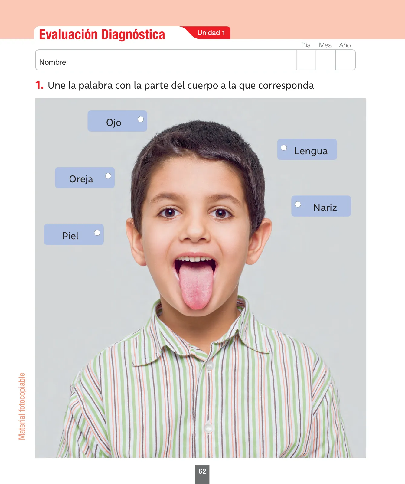 Miniatura página 63 de Ciencias Naturales – Primero Básico | Texto del Estudiante (MINEDUC) – Descargar PDF · 2024