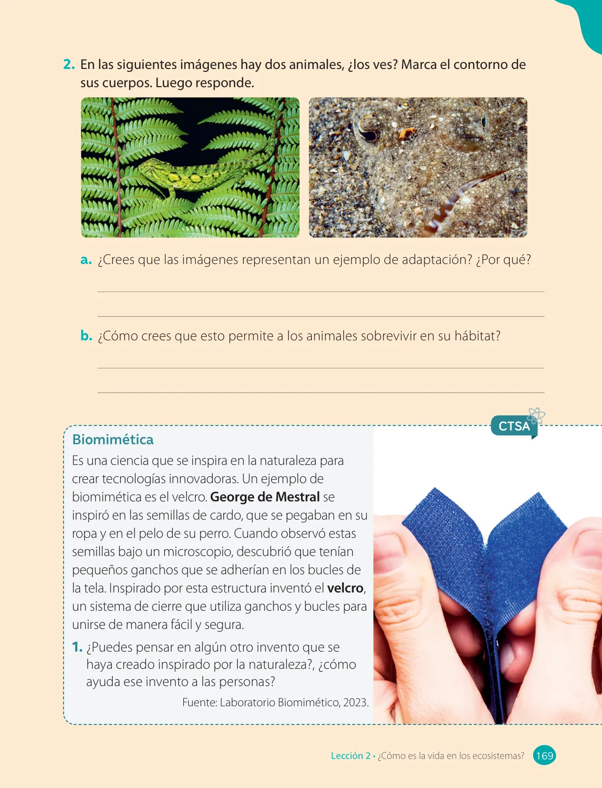 Página 171 de Ciencias Naturales – Cuarto Básico | Texto del Estudiante MINEDUC – Descargar PDF · 2024