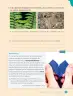 Miniatura página 171 de Ciencias Naturales – Cuarto Básico | Texto del Estudiante MINEDUC – Descargar PDF · 2024