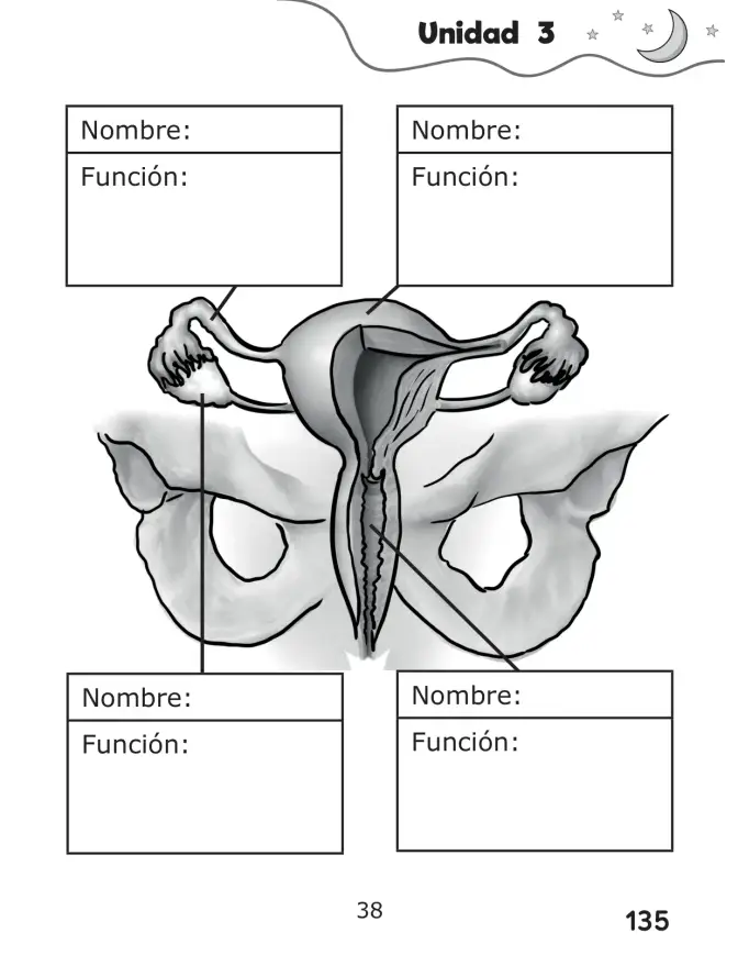 Página 135 de Libro de Ciencias Naturales – Quinto Básico | Texto del Estudiante MINEDUC – Descargar PDF · 2024