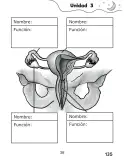 Miniatura página 135 de Libro de Ciencias Naturales – Quinto Básico | Texto del Estudiante MINEDUC – Descargar PDF · 2024