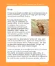 Miniatura página 318 de Lenguaje y Comunicación – Segundo Básico – Texto del Estudiante MINEDUC – Descargar PDF · 2024