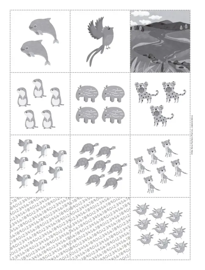 Página 119 de Múltiples lenguajes. Trazos y números. Libro de Educación Primaria Grado 1° Ciclo Escolar 2025 - 2026