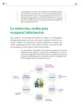 Miniatura página 175 de Colección Ximhai. Lenguajes.   Libro de Educación Telesecundaria Grado 1°  Ciclo Escolar 2025 - 2026