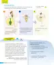 Miniatura página 77 de Ciencias Naturales – Tercero Básico | Texto del Estudiante MINEDUC – Descargar PDF · 2024