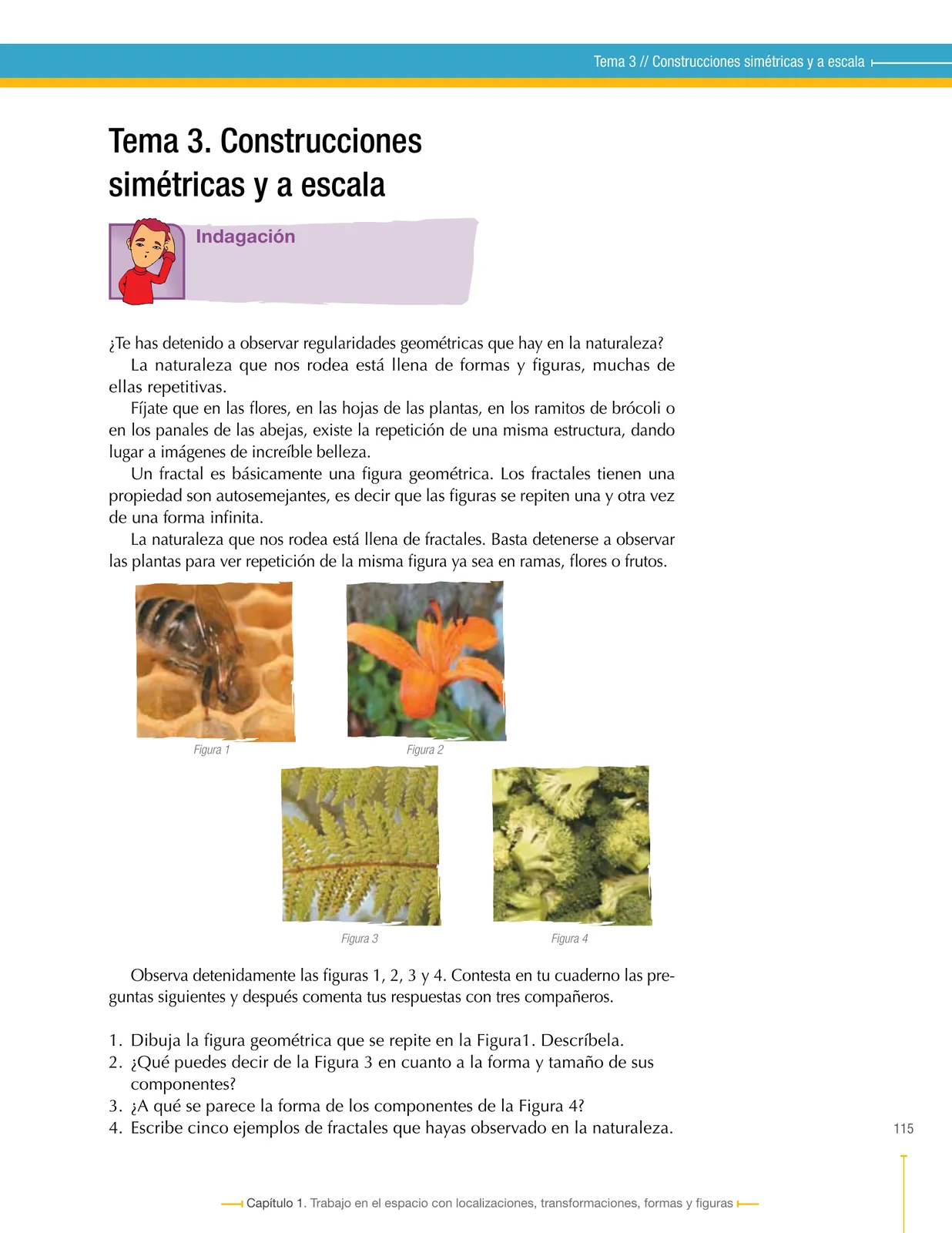 Pág 115