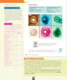 Miniatura página 127 de Ciencias Naturales – Séptimo Básico | Texto del Estudiante MINEDUC – Descargar PDF · 2024