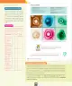 Miniatura página 127 de Ciencias Naturales – Séptimo Básico | Texto del Estudiante MINEDUC – Descargar PDF · 2024